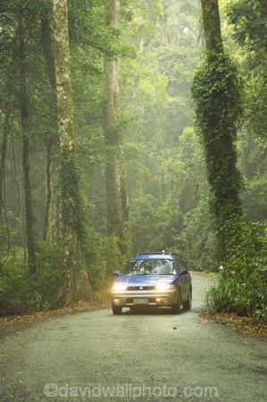s;4wd;4wds;4wds;4x4;4x4s;4x4s;australasia;Australia;automobile;automobiles;bend;car;cars;damp;forest;forests;four-by-four;four-by-fours;four-wheel-drive;four-wheel-drives;Gold-Coast;green;Hinterland;Lamington-National-Park;natural;nature;Queensland;rain-forest;rain-forests;rain_forest;rain_forests;rainforest;rainforests;Road;roads;s-bend;subaru;subarus;tranportation;transport;travel;traveling;travelling;tree;trees;trip;trips;vehicle;vehicles;wet;woods