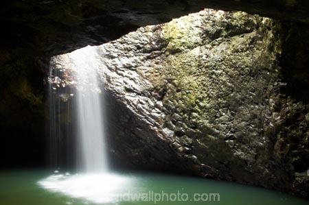 arch;arches;australasia;Australia;australian;brook;brooks;cascade;cascades;cave;cavern;caverns;caves;creek;creeks;damp;feature;flow;geological;geology;Gold-Coast;Hinterland;lush;natural;Natural-Bridge-Waterfall;nature;Queensland;rain;rain-forest;rain-forests;rain_forest;rain_forests;rainforest;rainforests;rainy;rock;rocks;rocky;Springbrook-National-Park;stream;streams;water;waterfall;waterfalls;wet;wilderness