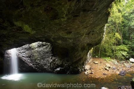 arch;arches;australasia;Australia;australian;brook;brooks;cascade;cascades;cave;cavern;caverns;caves;creek;creeks;damp;feature;flow;geological;geology;Gold-Coast;Hinterland;lush;natural;Natural-Bridge-Waterfall;nature;Queensland;rain;rain-forest;rain-forests;rain_forest;rain_forests;rainforest;rainforests;rainy;rock;rocks;rocky;Springbrook-National-Park;stream;streams;water;waterfall;waterfalls;wet;wilderness