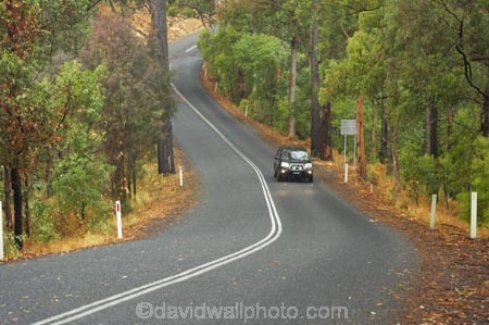 4wd;4wds;4wds;4x4;4x4s;4x4s;australasia;Australia;australian;automobile;automobiles;bend;bush;car;cars;centre-line;centre-lines;centre_line;centre_lines;centreline;centrelines;damp;forest;forests;four-by-four;four-by-fours;four-wheel-drive;four-wheel-drives;Gold-Coast;green;Hinterland;natural;nature;Numinbah-State-Forest;Queensland;rain;rains;rainy;Road;roads;slippery;tranportation;transport;travel;traveling;travelling;tree;trees;trip;trips;vehicle;vehicles;wet;woods