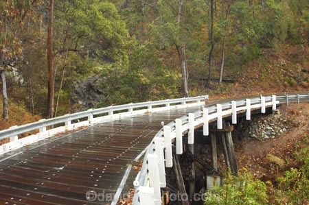 australasia;Australia;bridge;bridges;bush;damp;forest;forests;Gold-Coast;green;Hinterland;narrow;Queensland;rain;rain-forest;rain-forests;rain_forest;rain_forests;rainforest;rainforests;rainy;Road;roads;slippery;Springbrook-National-Park;tranportation;transport;travel;traveling;travelling;tree;trees;trip;trips;wet;wooden;woods