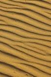 Arid;Aridity;austalian;australasia;Australia;Background;Backgrounds;Barren;beach;beaches;coolangatta;Desert;Deserts;Desolate;Desolation;Dry;Dune;Dunes;Earth;Exterior;gold-coast;Ground;Grounds;Natural-background;Natural-backgrounds;Nature;Outdoor;Outdoors;Outside;pattern;patterns;queensland;Ripple;Ripples;Sand;sandy;Surface;Surfaces;Texture;Textures;Wave;Waves