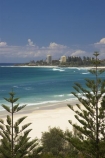 australasia;Australia;beach;beaches;coast;coastal;coolangatta;Gold-Coast;holiday;holidays;queensland;sand;sandy;surfers-paradise;tourism;travel;tree;trees;vacation;vacations