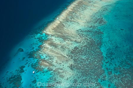 aerial;aerial-photo;aerial-photograph;aerial-photographs;aerial-photography;aerial-photos;aerial-view;aerial-views;aerials;australasian;Australia;australian;Barrier-Reef;blue;coral-reef;coral-reefs;Coral-Sea;dive-boat;dive-boats;dive-site;dive-sites;Ecosystem;Environment;Great-Barrier-Reef;Great-Barrier-Reef-Marine-Park;marine-environment;North-Queensland;ocean;oceans;Qld;queensland;reef;reefs;sea;seas;south-pacific;tasman-sea;Tongue-Reef;Tropcial-North-Queensland;tropical;tropical-reef;tropical-reefs;turquoise;UNESCO-World-Heritage-Site;world-heritage-area;World-Heritage-Park;world-heritage-site;yacht;yachts