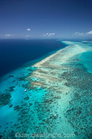 aerial;aerial-photo;aerial-photograph;aerial-photographs;aerial-photography;aerial-photos;aerial-view;aerial-views;aerials;australasian;Australia;australian;Barrier-Reef;blue;coral-reef;coral-reefs;Coral-Sea;dive-boat;dive-boats;dive-site;dive-sites;Ecosystem;Environment;Great-Barrier-Reef;Great-Barrier-Reef-Marine-Park;marine-environment;North-Queensland;ocean;oceans;Qld;queensland;reef;reefs;sea;seas;south-pacific;tasman-sea;Tongue-Reef;Tropcial-North-Queensland;tropical;tropical-reef;tropical-reefs;turquoise;UNESCO-World-Heritage-Site;world-heritage-area;World-Heritage-Park;world-heritage-site;yacht;yachts