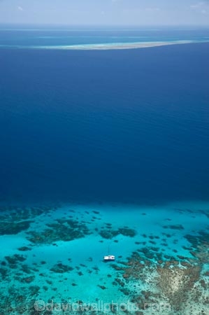 aerial;aerial-photo;aerial-photograph;aerial-photographs;aerial-photography;aerial-photos;aerial-view;aerial-views;aerials;australasian;Australia;australian;Barrier-Reef;blue;coral-reef;coral-reefs;Coral-Sea;dive-boat;dive-boats;dive-site;dive-sites;Ecosystem;Environment;Great-Barrier-Reef;Great-Barrier-Reef-Marine-Park;marine-environment;North-Queensland;ocean;oceans;Qld;queensland;reef;reefs;sea;seas;south-pacific;tasman-sea;Tongue-Reef;Tropcial-North-Queensland;tropical;tropical-reef;tropical-reefs;turquoise;UNESCO-World-Heritage-Site;world-heritage-area;World-Heritage-Park;world-heritage-site;yacht;yachts