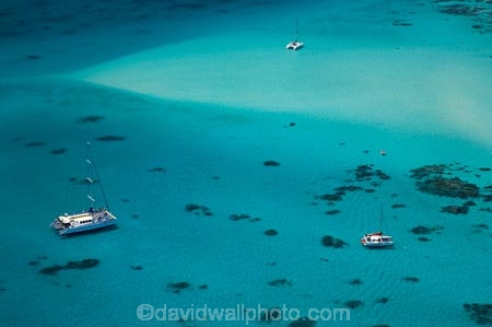 aerial;aerial-photo;aerial-photograph;aerial-photographs;aerial-photography;aerial-photos;aerial-view;aerial-views;aerials;australasian;Australia;australian;Barrier-Reef;blue;boat;boats;coral-reef;coral-reefs;Coral-Sea;cruise;cruises;dive-boat;dive-boats;dive-site;dive-sites;Ecosystem;Environment;Great-Barrier-Reef;Great-Barrier-Reef-Marine-Park;launch;launches;marine-environment;North-Queensland;ocean;Ocean-Spirit-2;Ocean-Spirit-II;Ocean-Spirit-Two;oceans;Qld;queensland;reef;reefs;sea;seas;south-pacific;tasman-sea;tour-boat;tour-boats;tourism;tourist;tourist-boat;tourist-boats;Tropcial-North-Queensland;tropical;tropical-reef;tropical-reefs;turquoise;UNESCO-World-Heritage-Site;Upolu-Cay;Upolu-Cay-N.P.;Upolu-Cay-National-Park;Upolu-Cay-NP;Upolu-Reef;water;world-heritage-area;World-Heritage-Park;world-heritage-site;yacht;yachts