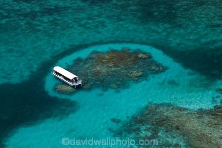 aerial;aerial-photo;aerial-photograph;aerial-photographs;aerial-photography;aerial-photos;aerial-view;aerial-views;aerials;australasian;Australia;australian;Barrier-Reef;blue;boat;boats;cairns;coral-reef;coral-reefs;Coral-Sea;cruise;cruises;dive-site;dive-sites;Ecosystem;Environment;Glass-Bottomed-Boat;Glass-Bottomed-Boats;Great-Barrier-Reef;Great-Barrier-Reef-Marine-Park;Green-Is;Green-Is-NP;Green-Is.;green-island;Green-Island-N.P.;Green-Island-National-Park;Green-Island-NP;holiday;Holidays;marine-environment;North-Queensland;ocean;oceans;Qld;queensland;reef;reefs;sea;seas;south-pacific;tasman-sea;tour-boat;tour-boats;tourism;tourist;tourist-boat;tourist-boats;travel;Tropcial-North-Queensland;tropical;tropical-reef;tropical-reefs;turquoise;UNESCO-World-Heritage-Site;Vacation;Vacations;water;world-heritage-area;World-Heritage-Park;world-heritage-site