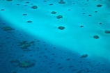 aerial;aerial-photo;aerial-photograph;aerial-photographs;aerial-photography;aerial-photos;aerial-view;aerial-views;aerials;australasian;Australia;australian;Barrier-Reef;blue;coral-reef;coral-reefs;Coral-Sea;dive-site;dive-sites;Ecosystem;Environment;Great-Barrier-Reef;Great-Barrier-Reef-Marine-Park;marine-environment;North-Queensland;ocean;oceans;Oyster-Reef;pattern;patterns;Qld;queensland;reef;reefs;sea;seas;south-pacific;tasman-sea;Tropcial-North-Queensland;tropical;tropical-reef;tropical-reefs;turquoise;UNESCO-World-Heritage-Site;world-heritage-area;World-Heritage-Park;world-heritage-site