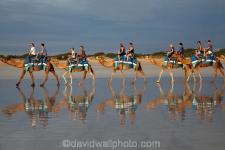 Australasian;Australia;Australian;beach;beaches;black-cloud;black-clouds;Broome;calm;camel;camel-train;camel-trains;camels;cloud;clouds;cloudy;coast;coastal;coastline;dark-cloud;dark-clouds;gray-cloud;gray-clouds;grey-cloud;grey-clouds;Kimberley;Kimberley-Region;last-light;late-light;placid;quiet;rain-cloud;rain-clouds;rain-storm;rain-storms;reflection;reflections;sand;sandy;serene;shore;shoreline;smooth;still;storm;storms;The-Kimberley;tourism;tourist;tourist-attraction;tourist-attractions;tourists;tranquil;W.A.;WA;water;West-Australia;Western-Australia