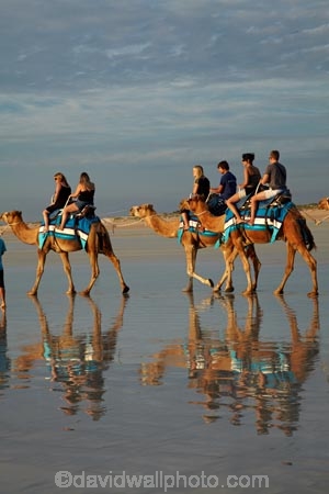 Australasian;Australia;Australian;beach;beaches;black-cloud;black-clouds;Broome;calm;camel;camel-train;camel-trains;camels;cloud;clouds;cloudy;coast;coastal;coastline;dark-cloud;dark-clouds;gray-cloud;gray-clouds;grey-cloud;grey-clouds;icon;iconic;icons;Kimberley;Kimberley-Region;last-light;late-light;placid;quiet;rain-cloud;rain-clouds;rain-storm;rain-storms;reflection;reflections;sand;sandy;serene;shore;shoreline;smooth;still;storm;storms;The-Kimberley;tourism;tourist;tourist-attraction;tourist-attractions;tourists;tranquil;W.A.;WA;water;West-Australia;Western-Australia