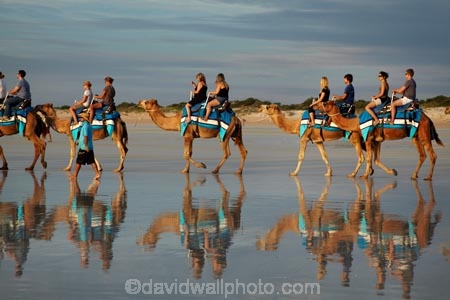 Australasian;Australia;Australian;beach;beaches;black-cloud;black-clouds;Broome;calm;camel;camel-train;camel-trains;camels;cloud;clouds;cloudy;coast;coastal;coastline;dark-cloud;dark-clouds;gray-cloud;gray-clouds;grey-cloud;grey-clouds;Kimberley;Kimberley-Region;last-light;late-light;placid;quiet;rain-cloud;rain-clouds;rain-storm;rain-storms;reflection;reflections;sand;sandy;serene;shore;shoreline;smooth;still;storm;storms;The-Kimberley;tourism;tourist;tourist-attraction;tourist-attractions;tourists;tranquil;W.A.;WA;water;West-Australia;Western-Australia