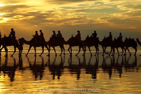 Australasian;Australia;Australian;beach;beaches;Broome;Cable-Beach;calm;camel;camel-train;camel-trains;camels;cloud;clouds;coast;coastal;coastline;dusk;evening;icon;iconic;icons;Kimberley;Kimberley-Region;last-light;late-light;nightfall;orange;placid;quiet;reflection;reflections;sand;sandy;serene;shore;shoreline;silhouette;silhouettes;sky;smooth;still;sunset;sunsets;The-Kimberley;tourism;tourist;tourist-attraction;tourist-attractions;tourists;tranquil;twilight;W.A.;WA;water;West-Australia;Western-Australia