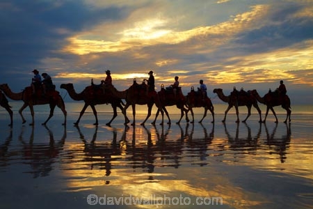 Australasian;Australia;Australian;beach;beaches;Broome;Cable-Beach;calm;camel;camel-train;camel-trains;camels;cloud;clouds;coast;coastal;coastline;dusk;evening;icon;iconic;icons;Kimberley;Kimberley-Region;last-light;late-light;nightfall;orange;placid;quiet;reflection;reflections;sand;sandy;serene;shore;shoreline;silhouette;silhouettes;sky;smooth;still;sunset;sunsets;The-Kimberley;tourism;tourist;tourist-attraction;tourist-attractions;tourists;tranquil;twilight;W.A.;WA;water;West-Australia;Western-Australia