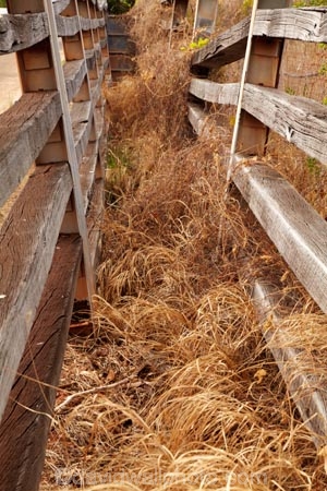 Australasian;Australia;Australian;cattle-race;cattle-races;Derby;Derby-Wharf;fence;fences;Kimberley;Kimberley-Region;old-cattle-race;The-Kimberley;W.A.;WA;West-Australia;Western-Australia