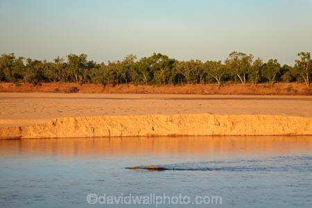 Australasian;Australia;Australian;Fitzroy-Crossing;Fitzroy-River;Kimberley;Kimberley-Region;river;sand-bank;sand-banks;The-Kimberley;W.A.;WA;West-Australia;Western-Australia