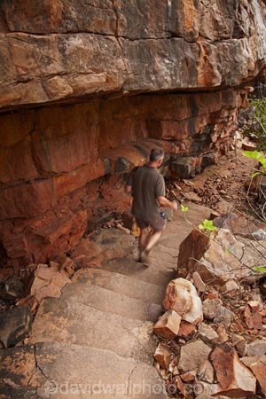 Australasian;Australia;Australian;bluff;bluffs;cliff;cliffs;Kimberley;Kimberley-Region;stair;stairs;The-Grotto;The-Kimberley;tourism;tourist;tourists;W.A.;WA;West-Australia;Western-Australia;Wyndham