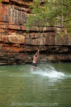 Australasian;Australia;Australian;billabong;billabongs;bluff;bluffs;cliff;cliffs;fun;jump;jumping;Kimberley;Kimberley-Region;people;person;rope-swing;rope-swings;splash;splashing;swim;swimming;swimming-hole;swimming-holes;The-Grotto;The-Kimberley;tourism;tourist;tourists;W.A.;WA;waterhole;waterholes;West-Australia;Western-Australia;Wyndham