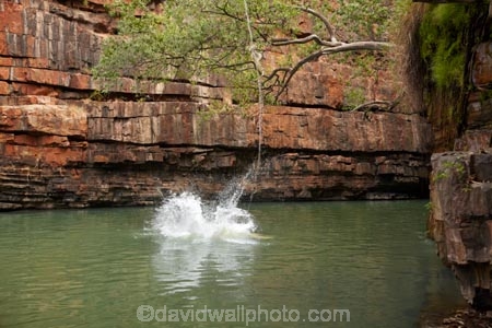 Australasian;Australia;Australian;billabong;billabongs;bluff;bluffs;cliff;cliffs;fun;jump;jumping;Kimberley;Kimberley-Region;people;person;rope-swing;rope-swings;splash;splashing;swim;swimming;swimming-hole;swimming-holes;The-Grotto;The-Kimberley;tourism;tourist;tourists;W.A.;WA;waterhole;waterholes;West-Australia;Western-Australia;Wyndham