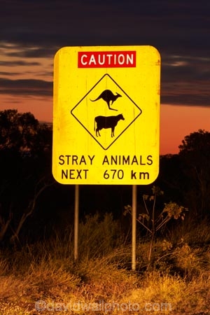 Australasian;Australia;Australian;cow;cows;Gibb-River-Highway;Gibb-River-Rd;Gibb-River-Rd-sign;Gibb-River-Road;Gibb-River-Road-sign;information-sign;information-signs;kangaroo;kangaroos;Kimberley;Kimberley-Region;next-670km;road-sign;road-signs;sign;signs;The-Kimberley;W.A.;WA;warning-sign;warning-signs;West-Australia;Western-Australia