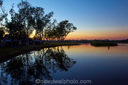 Australasian;Australia;Australian;break-of-day;calm;Camp;Camp-Ground;Camp-Grounds;Camp-Site;Camp-Sites;Camping;Camping-Area;Camping-Areas;Camping-Ground;Camping-Grounds;Camping-Site;Camping-Sites;Caravan-Park;Caravan-Parks;dawn;dawning;daybreak;dusk;eucalypt;eucalypts;eucalyptus;eucalytis;evening;first-light;gum;gum-tree;gum-trees;gums;Holiday;Holiday-Park;Holiday-Parks;holidays;Kimberley;Kimberley-Region;Kimberleyland-Holiday-Park;Kununurra;lagoon;lagoons;lake;Lake-Kununurra;lakes;Lily-Creek-Lagoon;Lily-Lagoon;morning;nightfall;orange;placid;quiet;reflection;reflections;serene;sky;smooth;still;sunrise;sunrises;sunset;sunsets;sunup;The-Kimberley;tranquil;tree;trees;twilight;vacation;vacations;W.A.;WA;water;West-Australia;Western-Australia