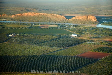 aerial;aerial-photo;aerial-photograph;aerial-photographs;aerial-photography;aerial-photos;aerial-view;aerial-views;aerials;agricultural;agriculture;Australasian;Australia;Australian;country;countryside;crop;crops;East-Kimberley;Elephant-Rock;farm;farming;farmland;farms;field;fields;fruit;fruit-tree;fruit-trees;horticulture;Kimberley;Kimberley-Region;Kununurra;Lake-Kununurra;orchard;orchards;Ord-River;Ord-River-Irrigation-Scheme;row;rows;rural;The-Kimberley;tree;trees;W.A.;WA;West-Australia;Western-Australia