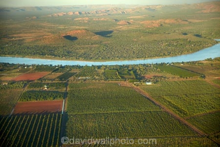 aerial;aerial-photo;aerial-photograph;aerial-photographs;aerial-photography;aerial-photos;aerial-view;aerial-views;aerials;agricultural;agriculture;Australasian;Australia;Australian;country;countryside;crop;crops;East-Kimberley;farm;farming;farmland;farms;field;fields;fruit;fruit-tree;fruit-trees;horticulture;Kimberley;Kimberley-Region;Kununurra;Lake-Kununurra;orchard;orchards;Ord-River;Ord-River-Irrigation-Scheme;row;rows;rural;The-Kimberley;tree;trees;W.A.;WA;West-Australia;Western-Australia