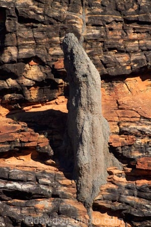 ant-hill;ant-hills;anthill;anthills;arid;Australasia;Australasian;Australia;Australian;Australian-Outback;back-country;backcountry;backwoods;beehives;Bungle-Bungle;Bungle-Bungle-Range;Bungle-Bungles;country;countryside;geographic;geography;geological;geology;Kimberley;Kimberley-Region;Outback;Purnululu-N.P.;Purnululu-National-Park;Purnululu-NP;remote;remoteness;rock;rock-formation;rock-formations;rock-outcrop;rock-outcrops;rocks;rural;termitaria;termite-colonies;termite-colony;termite-hill;termite-hills;termite-mound;termite-mounds;termite-nest;termite-nests;The-Kimberley;UN-world-heritage-area;UN-world-heritage-site;UNESCO-World-Heritage-area;UNESCO-World-Heritage-Site;united-nations-world-heritage-area;united-nations-world-heritage-site;W.A.;WA;West-Australia;Western-Australia;wilderness;world-heritage;world-heritage-area;world-heritage-areas;World-Heritage-Park;World-Heritage-site;World-Heritage-Sites
