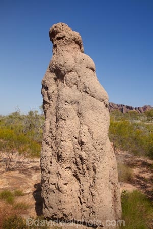 ant-hill;ant-hills;anthill;anthills;arid;Australasia;Australasian;Australia;Australian;Australian-Outback;back-country;backcountry;backwoods;Bungle-Bungle;Bungle-Bungle-Range;Bungle-Bungles;country;countryside;geographic;geography;Kimberley;Kimberley-Region;Outback;Purnululu-N.P.;Purnululu-National-Park;Purnululu-NP;remote;remoteness;rural;termitaria;termite-colonies;termite-colony;termite-hill;termite-hills;termite-mound;termite-mounds;termite-nest;termite-nests;The-Kimberley;UN-world-heritage-area;UN-world-heritage-site;UNESCO-World-Heritage-area;UNESCO-World-Heritage-Site;united-nations-world-heritage-area;united-nations-world-heritage-site;W.A.;WA;West-Australia;Western-Australia;wilderness;world-heritage;world-heritage-area;world-heritage-areas;World-Heritage-Park;World-Heritage-site;World-Heritage-Sites