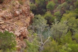 Australasian;Australia;Australian;bluff;bluffs;cliff;cliffs;Kimberley;Kimberley-Region;stair;stairs;The-Grotto;The-Kimberley;track;tracks;W.A.;WA;West-Australia;Western-Australia;Wyndham
