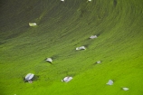 algae;arid;Australasia;Australasian;Australia;Australian;Australian-Outback;back-country;backcountry;backwoods;billabong;billabongs;box-canyon;box-canyons;Bungle-Bungle;Bungle-Bungle-Range;Bungle-Bungles;canyon;canyons;Cathedral-Gorge;chasm;chasms;country;countryside;dead-leaves;geographic;geography;gorge;gorges;green;green-algae;Kimberley;Kimberley-Region;leaf;leaves;Outback;pool;pools;Purnululu-N.P.;Purnululu-National-Park;Purnululu-NP;remote;remoteness;rural;The-Kimberley;UN-world-heritage-area;UN-world-heritage-site;UNESCO-World-Heritage-area;UNESCO-World-Heritage-Site;united-nations-world-heritage-area;united-nations-world-heritage-site;W.A.;WA;water;waterhole;waterholes;West-Australia;Western-Australia;wilderness;world-heritage;world-heritage-area;world-heritage-areas;World-Heritage-Park;World-Heritage-site;World-Heritage-Sites