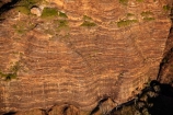 cliffs;aerial;aerial-photo;aerial-photograph;aerial-photographs;aerial-photography;aerial-photos;aerial-view;aerial-views;aerials;arid;Australasia;Australasian;Australia;Australian;Australian-Outback;back-country;backcountry;backwoods;bluff;bluffs;Bungle-Bungle;Bungle-Bungle-Range;Bungle-Bungles;canyon;canyons;cliff;country;countryside;geographic;geography;geological;geology;gorge;gorges;Kimberley;Kimberley-Region;layer;layers;Outback;Purnululu-N.P.;Purnululu-National-Park;Purnululu-NP;remote;remoteness;rock;rock-formation;rock-formations;rock-outcrop;rock-outcrops;rock-tor;rock-torr;rock-torrs;rock-tors;rocks;rural;sedementary-layer;sedementary-layers;stone;The-Kimberley;UN-world-heritage-area;UN-world-heritage-site;UNESCO-World-Heritage-area;UNESCO-World-Heritage-Site;united-nations-world-heritage-area;united-nations-world-heritage-site;W.A.;WA;West-Australia;Western-Australia;wilderness;world-heritage;world-heritage-area;world-heritage-areas;World-Heritage-Park;World-Heritage-site;World-Heritage-Sites