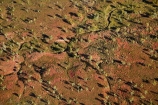 aerial;aerial-photo;aerial-photograph;aerial-photographs;aerial-photography;aerial-photos;aerial-view;aerial-views;aerials;arid;Australasia;Australasian;Australia;Australian;Australian-Outback;back-country;backcountry;backwoods;Bungle-Bungle;Bungle-Bungle-Range;Bungle-Bungles;country;countryside;dry;dry-creek-beds;dry-stream-beds;eroded;erosion;geographic;geography;Kimberley;Kimberley-Region;Outback;Purnululu-N.P.;Purnululu-National-Park;Purnululu-NP;remote;remoteness;rural;The-Kimberley;UN-world-heritage-area;UN-world-heritage-site;UNESCO-World-Heritage-area;UNESCO-World-Heritage-Site;united-nations-world-heritage-area;united-nations-world-heritage-site;W.A.;WA;water-erosion;West-Australia;Western-Australia;wilderness;world-heritage;world-heritage-area;world-heritage-areas;World-Heritage-Park;World-Heritage-site;World-Heritage-Sites