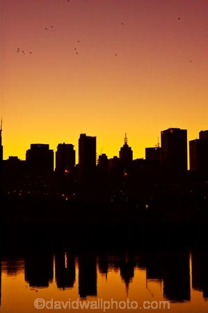 australasia;australia;australian;c.b.d.;cbd;central-business-district;cities;city;cityscape;cityscapes;dawn;dawning;daybreak;docklands;first-light;high-rise;high-rises;high_rise;high_rises;highrise;highrises;melbourne;morning;multi_storey;multi_storied;multistorey;multistoried;new-quay;newquay;office;office-block;office-blocks;offices;orange;outline;reflection;reflections;silhouette;silhouettes;sky-scraper;sky-scrapers;sky_scraper;sky_scrapers;skyscraper;skyscrapers;sunrise;sunup;tower-block;tower-blocks;twilight;victoria;victoria-harbor;victoria-harbour