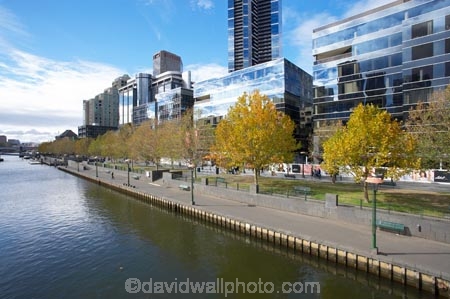Australia;autuminal;autumn;autumn-colour;autumn-colours;autumnal;c.b.d.;cbd;central-business-district;cities;city;cityscape;cityscapes;color;colors;colour;colours;deciduous;eureka-skydeck;eureka-tower;eureka-towers;fall;high-rise;high-rises;high_rise;high_rises;highrise;highrises;leaf;leaves;Melbourne;multi_storey;multi_storied;multistorey;multistoried;office;office-block;office-blocks;offices;river;rivers;season;seasonal;seasons;sky-scraper;sky-scrapers;sky_scraper;sky_scrapers;skyscraper;skyscrapers;south-bank;southbank;southbank-prominade;tower-block;tower-blocks;tree;trees;VIC;Victoria;yara;yarra;yarra-river