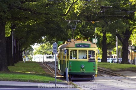 australasian;australia;australian;avenue;avenues;green;melbourne;public-transport;public-transportation;rail;rails;road;roads;roadway;street;street-car;street-cars;street_car;street_cars;streetcar;streetcars;streets;tram;tram-car;tram-cars;tram_car;tram_cars;tram_way;tram_ways;tramcar;tramcars;trams;tramway;tramways;transport;transportation;tree;trees;trolley;trolleys;victoria;victoria-parade;yellow;yellow-and-green