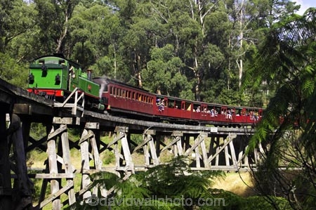 australasia;Australia;australian;bridge;bridges;bush;carriage;carriages;children;Dandenong-Ranges;dandenongs;eucalypt;eucalypts;eucalyptus-trees;eucalyptus-treet;excursion;forest;forests;gum-trees;Melbourne;native-bush;native-trees;passenger;passenger-train;passenger-trains;passengers;Puffing-Billy-Steam-Train;rail;railroad;railroads;rails;railway;railways;tourism;tourist;tourist-train;tourist-trains;tourists;track;tracks;train;trains;transport;transportation;tree;trees;trip;viaduct;viaducts;Victoria;wagon;wagons;wooden-bridge;wooden-bridges;wooden-viaduct;wooden-viaducts