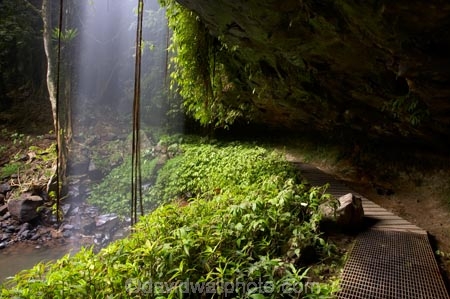 Australasian;Australia;Australian;cascade;cascades;Central-Eastern-Rainforest-Reserves;creek;creeks;Crystal-Falls;Crystal-Shower-falls;Dorrigo-N.P.;Dorrigo-National-Park;Dorrigo-NP;Dorrigo-Rainforest;falls;forest;forests;Gondwana-Rainforests-of-Australia;green;lush;Mid-North-Coast;Mid-North-Coast-NSW;Mid-North-Nsw;Mid-Northern-NSW;N.S.W.;natural;nature;New-South-Wales;NSW;overhang;rainforest;rainforests;scene;scenic;stream;streams;verdant;water;water-fall;water-falls;waterfall;Waterfall-Way;waterfalls;wet;Wonga-Walk;World-Heritage-Site