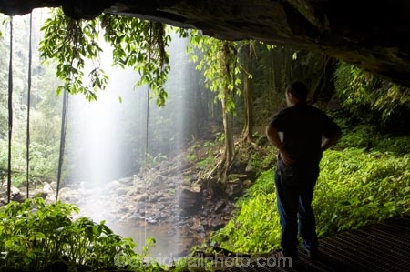 Australasian;Australia;Australian;cascade;cascades;Central-Eastern-Rainforest-Reserves;creek;creeks;Crystal-Falls;Crystal-Shower-falls;Dorrigo-N.P.;Dorrigo-National-Park;Dorrigo-NP;Dorrigo-Rainforest;eco-tourism;eco_tourism;ecotourism;falls;forest;forests;Gondwana-Rainforests-of-Australia;green;lush;Mid-North-Coast;Mid-North-Coast-NSW;Mid-North-Nsw;Mid-Northern-NSW;N.S.W.;natural;nature;New-South-Wales;NSW;overhang;people;person;rainforest;rainforests;scene;scenic;stream;streams;tourist;tourists;verdant;water;water-fall;water-falls;waterfall;Waterfall-Way;waterfalls;wet;Wonga-Walk;World-Heritage-Site
