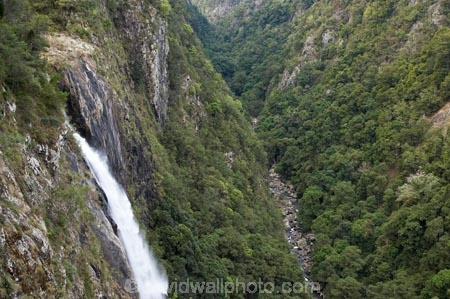Australasian;Australia;Australian;cascade;cascades;creek;creeks;Elands;Ellenborough-Falls;Ellenborough-River;falls;Greater-Taree-Region;Mid-North-Coast;Mid-North-Coast-NSW;Mid-North-Nsw;Mid-Northern-NSW;N.S.W.;natural;nature;New-South-Wales;NSW;scene;scenic;stream;streams;water;water-fall;water-falls;waterfall;waterfalls;wet
