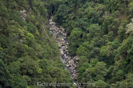 Australasian;Australia;Australian;bush;Elands;Ellenborough-Falls;Ellenborough-River;forest;forests;gorge;gorges;Greater-Taree-Region;Mid-North-Coast;Mid-North-Coast-NSW;Mid-North-Nsw;Mid-Northern-NSW;N.S.W.;New-South-Wales;NSW;valley;valleys