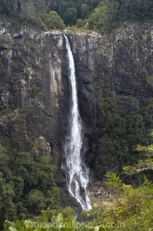 Australasian;Australia;Australian;cascade;cascades;creek;creeks;Elands;Ellenborough-Falls;Ellenborough-River;falls;Greater-Taree-Region;Mid-North-Coast;Mid-North-Coast-NSW;Mid-North-Nsw;Mid-Northern-NSW;N.S.W.;natural;nature;New-South-Wales;NSW;scene;scenic;stream;streams;water;water-fall;water-falls;waterfall;waterfalls;wet