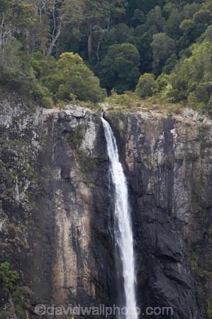 Australasian;Australia;Australian;cascade;cascades;creek;creeks;Elands;Ellenborough-Falls;Ellenborough-River;falls;Greater-Taree-Region;Mid-North-Coast;Mid-North-Coast-NSW;Mid-North-Nsw;Mid-Northern-NSW;N.S.W.;natural;nature;New-South-Wales;NSW;scene;scenic;stream;streams;water;water-fall;water-falls;waterfall;waterfalls;wet