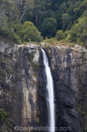 Australasian;Australia;Australian;cascade;cascades;creek;creeks;Elands;Ellenborough-Falls;Ellenborough-River;falls;Greater-Taree-Region;Mid-North-Coast;Mid-North-Coast-NSW;Mid-North-Nsw;Mid-Northern-NSW;N.S.W.;natural;nature;New-South-Wales;NSW;scene;scenic;stream;streams;water;water-fall;water-falls;waterfall;waterfalls;wet