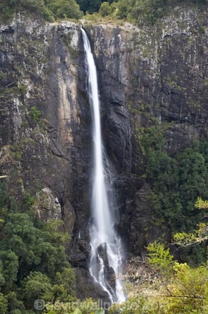 Australasian;Australia;Australian;cascade;cascades;creek;creeks;Elands;Ellenborough-Falls;Ellenborough-River;falls;Greater-Taree-Region;Mid-North-Coast;Mid-North-Coast-NSW;Mid-North-Nsw;Mid-Northern-NSW;N.S.W.;natural;nature;New-South-Wales;NSW;scene;scenic;stream;streams;water;water-fall;water-falls;waterfall;waterfalls;wet