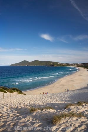 Australasian;Australia;Australian;beach;beaches;coast;coastal;coastline;Forster;Mid-North-Coast;Mid-North-Coast-NSW;Mid-North-Nsw;Mid-Northern-NSW;N.S.W.;New-South-Wales;NSW;ocean;oceans;One-Mile-Beach;sand;sandy;sea;seas;shore;shoreline