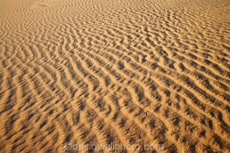 arid;Australasia;Australia;Australian;Australian-Desert;Australian-Deserts;Australian-Outback;back-country;backcountry;backwoods;country;countryside;desert;deserts;dry;dune;dunes;geographic;geography;lizard-print;lizard-prints;lizard-track;lizard-tracks;Mungo-N.P.;Mungo-National-Park;Mungo-NP;N.S.W.;New-South-Wales;NSW;outback;prints;red-centre;remote;remoteness;ripple;ripples;rural;sand;sand-dune;sand-dunes;sand-hill;sand-hills;sand-ripple;sand-ripples;sand_dune;sand_dunes;sand_hill;sand_hills;sanddune;sanddunes;sandhill;sandhills;sandy;wilderness;wind-ripple;wind-ripples