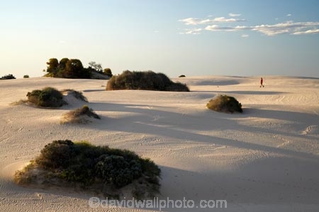 alone;arid;Australasia;Australia;Australian;Australian-Desert;Australian-Deserts;Australian-Outback;back-country;backcountry;backwoods;country;countryside;desert;deserts;dry;dune;dunes;geographic;geography;Mungo-N.P.;Mungo-National-Park;Mungo-NP;N.S.W.;New-South-Wales;NSW;outback;person;prints;red-centre;remote;remoteness;ripple;ripples;rural;sand;sand-dune;sand-dunes;sand-hill;sand-hills;sand-ripple;sand-ripples;sand_dune;sand_dunes;sand_hill;sand_hills;sanddune;sanddunes;sandhill;sandhills;sandy;solitary;tourism;tourist;tourists;walker;walking;wilderness;wind-ripple;wind-ripples