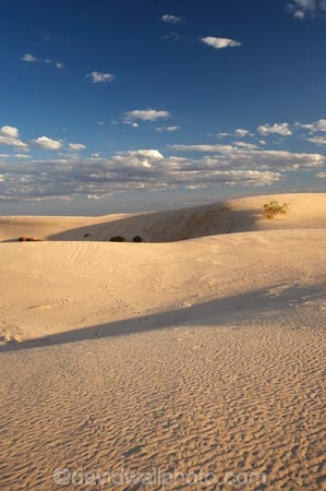 arid;Australasia;Australia;Australian;Australian-Desert;Australian-Deserts;Australian-Outback;back-country;backcountry;backwoods;country;countryside;desert;deserts;dry;dune;dunes;geographic;geography;Mungo-N.P.;Mungo-National-Park;Mungo-NP;N.S.W.;New-South-Wales;NSW;outback;prints;red-centre;remote;remoteness;ripple;ripples;rural;sand;sand-dune;sand-dunes;sand-hill;sand-hills;sand-ripple;sand-ripples;sand_dune;sand_dunes;sand_hill;sand_hills;sanddune;sanddunes;sandhill;sandhills;sandy;wilderness;wind-ripple;wind-ripples