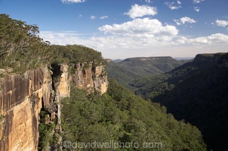 Australasia;Australia;escarpment;escarpments;Morton-N.P.;Morton-National-Park;Morton-NP;N.S.W.;national-park;national-parks;New-South-Wales;NSW;South-New-South-Wales;Southern-Highlands;Southern-New-South-Wales